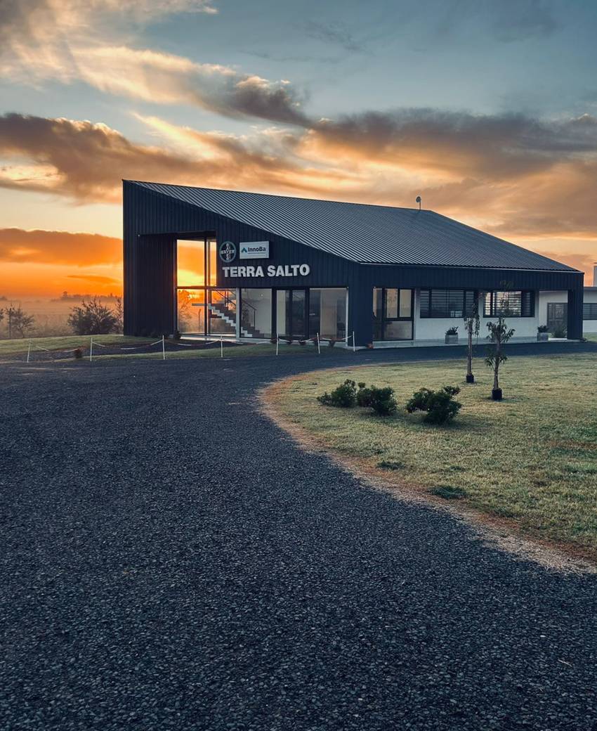 Sede de Terra Salto SRL en Salto